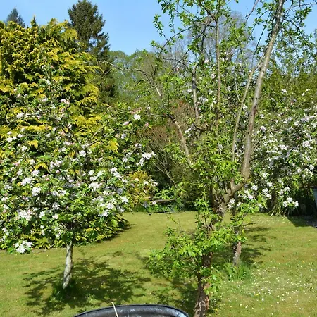 Bohemianbreezebreaks