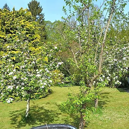 Bed and breakfast Bohemianbreezebreaks Thornton Dale
