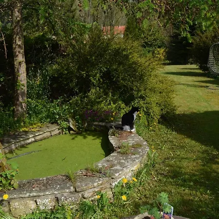 ベッド・アンド・ブレックファスト Bohemianbreezebreaks