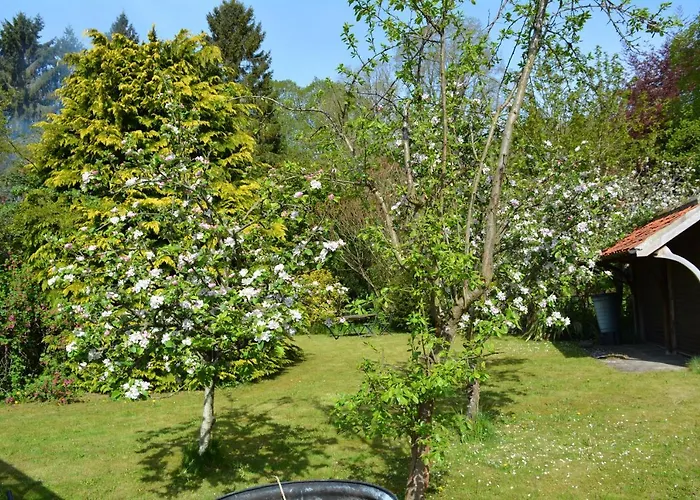 Bohemianbreezebreaks